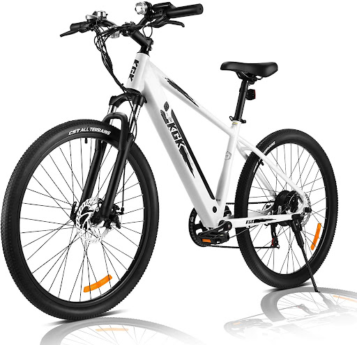 Dreamvan Electric Bikes for Adults