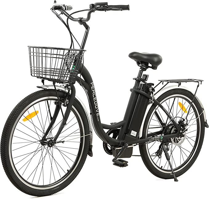 ECOTRIC City Cruiser Electric Bike